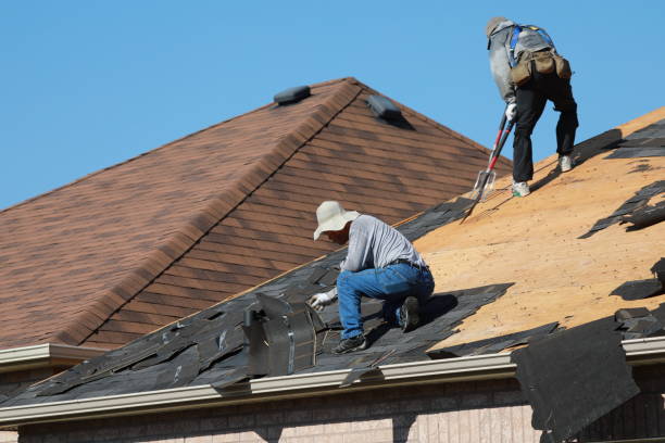 Best Roof Insulation Installation  in Carlin, NV