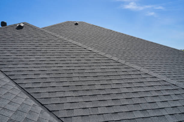 Best Roof Maintenance and Cleaning  in Carlin, NV